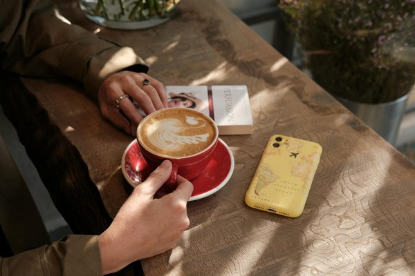 Seko humidité : solutions efficaces pour un intérieur sans moisissure