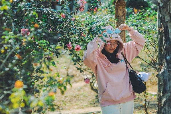 Quel est le meilleur vin de cahors : découvrez nos coups de cœur